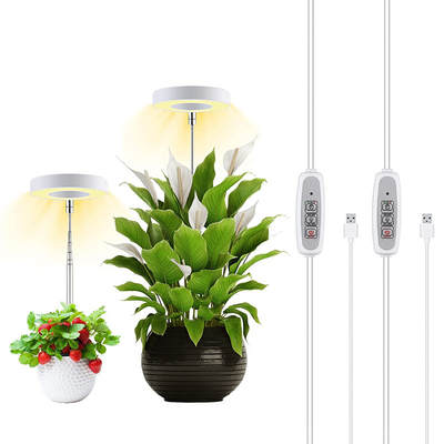 Amazon explosions angel ring meat fill light USB color full spectrum LED flower bonsai plant light Growth Light