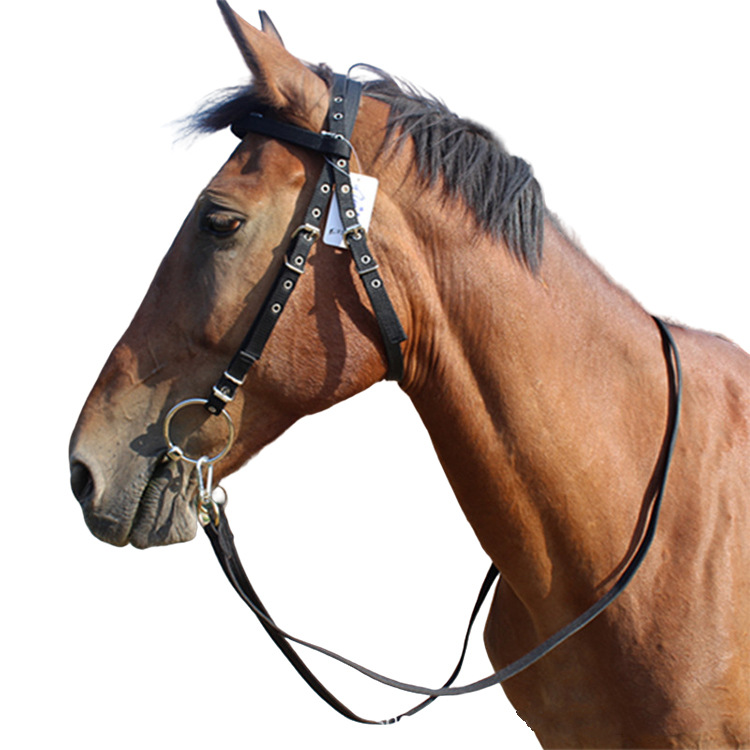 Steamer head rope equestrian supplies horse cage cover size short horse bridle horse gear head cover accessories water leash bridle