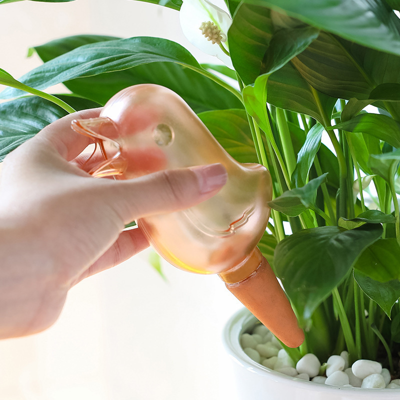 浇花器小鸟自动浇水器植物盆栽浇水滴水园艺灌溉渗水家用浇花神器