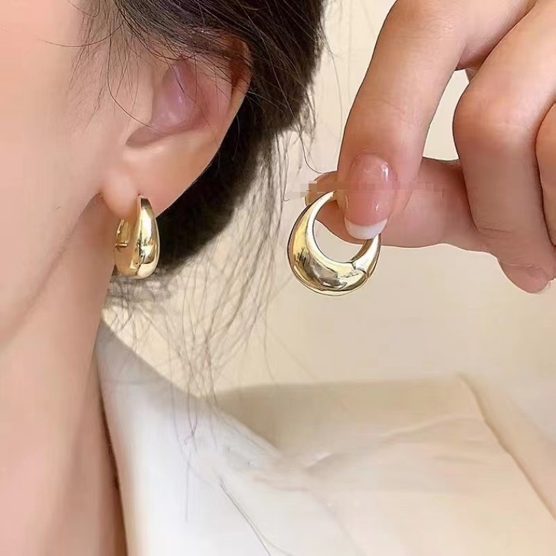 Luxury and high-end versatile fashion cool ear rings ins style trend niche temperament design sense earrings