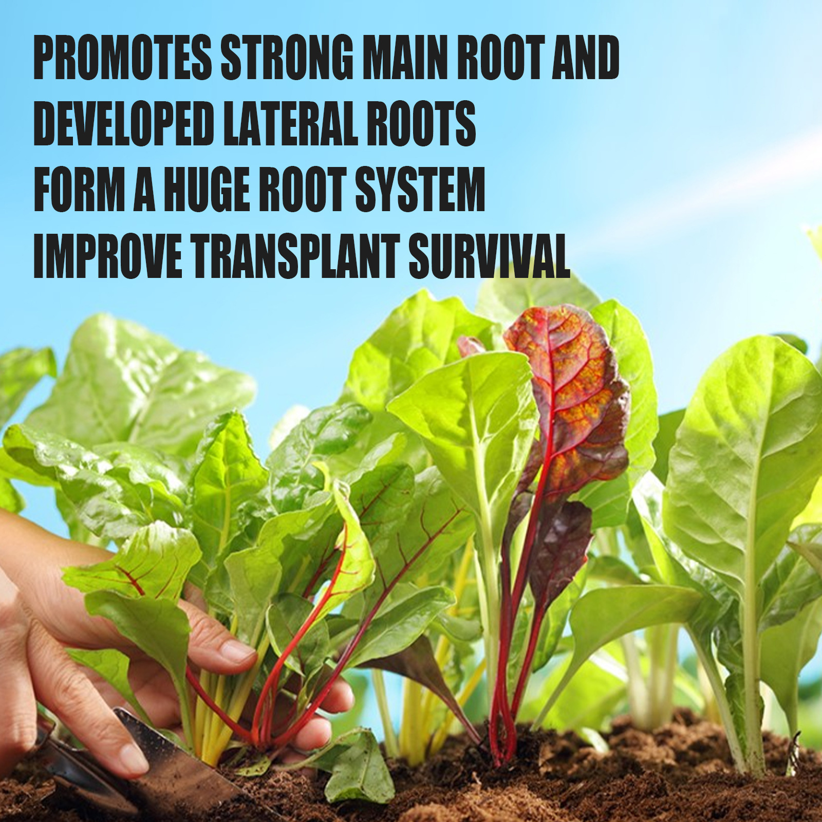 Rooting powder for new plants Rooting powder for cutting plants Transplanting trees Fruit trees Root nutrition powder