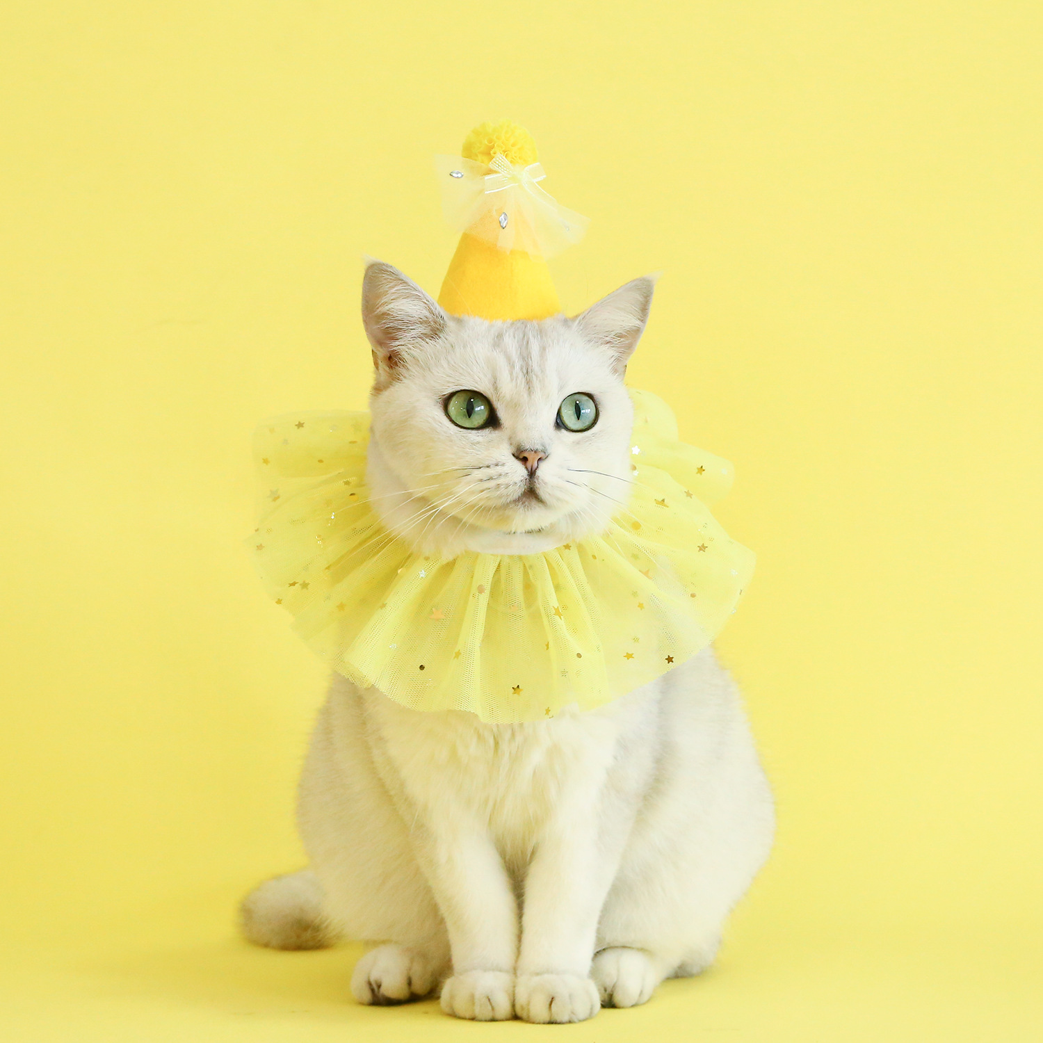 Pet sequined lace bib rhinestone gauze skirt felt hat birthday princess suit photography cat puppy accessories