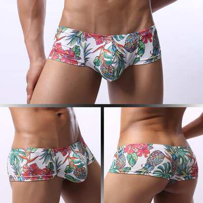 GAY Europe and the United States foreign trade in low waist men's underwear head printing U convex mesh breathable moisture wicking small flat angle E085