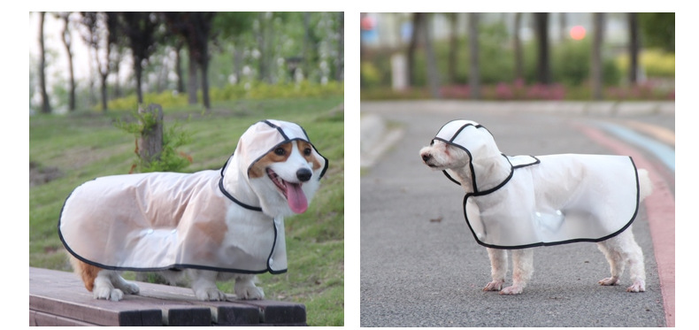 Dog Raincoat Image 17