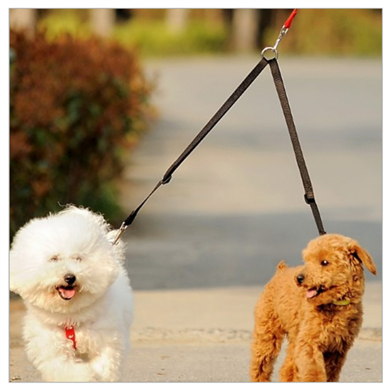 Direct Supply One-Pull Double Head Pet Leash for Dogs, Outdoor Walking Chain with One-Pull Triple Hook