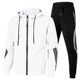 Cross-border Spring and Autumn new men's casual suit hooded sweatshirt sportswear two-piece Men's slim casual suit