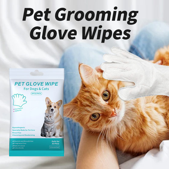 Foreign Trade Cross-border Pet Products Pet Wash-free Gloves Cats and Dogs Bathing Cleaning Dry Wet Wipes Gloves Deodorant
