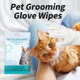Foreign Trade Cross-border Pet Products Pet Wash-free Gloves Cats and Dogs Bathing Cleaning Dry Wet Wipes Gloves Deodorant