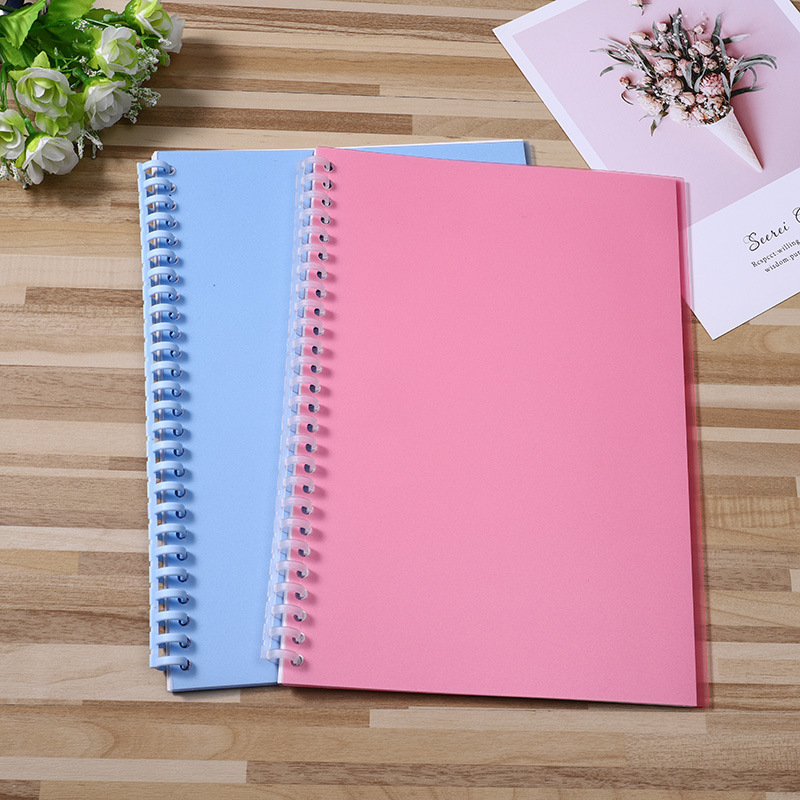 Fashion and generous art paper hand account loose-leaf release book B5 coil release book hand account tape notepad customization