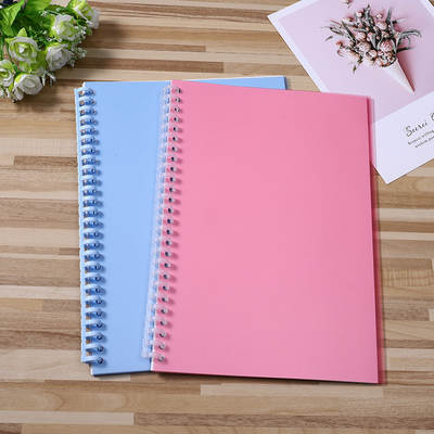 Fashion and generous art paper hand account loose-leaf release book B5 coil release book hand account tape notepad customization