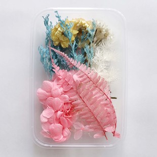 [Fixed flower box] Dried Flower eternal flower material bag aromatherapy DIY flower material Children's photo frame fan material bag