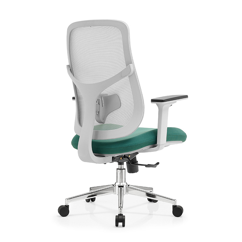 NOEL Brand Student Learning Ergonomic Chair Sedentary Not Tired Apartment Dormitory Computer Chair Staff Office Chair