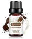 Aromatherapy: Chocolate Milk Chocolate Milk 10ml