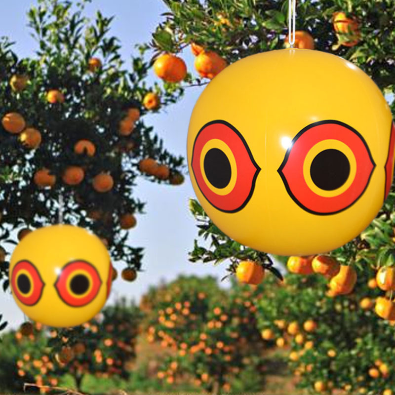 In stock PVC inflatable beach ball orchard bird repellent ball horror eye ball farm bird proof balloon