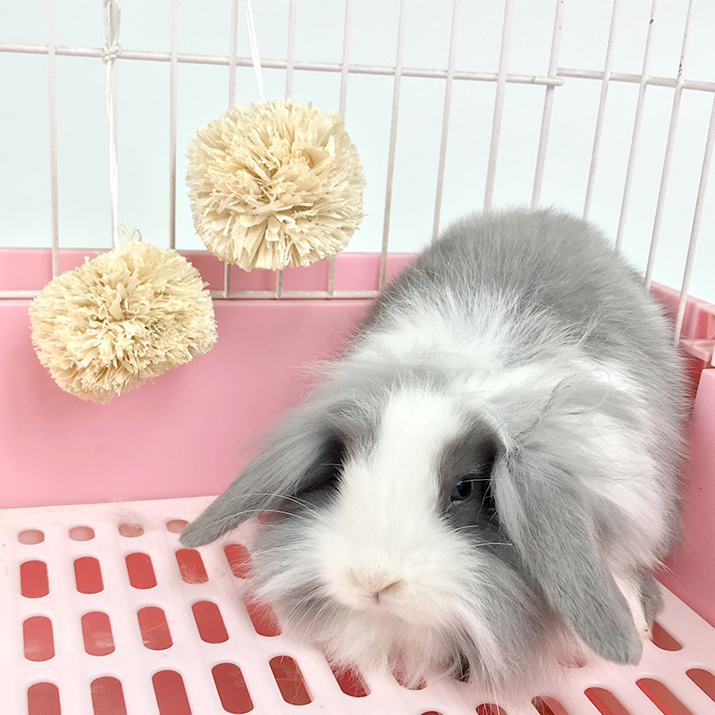 Factory supply rabbit corn leaf ball Rabbit Rabbit guinea pig Chinchilla molar toy snack Corn leaf molar ball