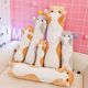 New Long Cylindrical Cat Doll Plush Toy Sleeping Pillow Cute Large Girl Bed Doll Doll