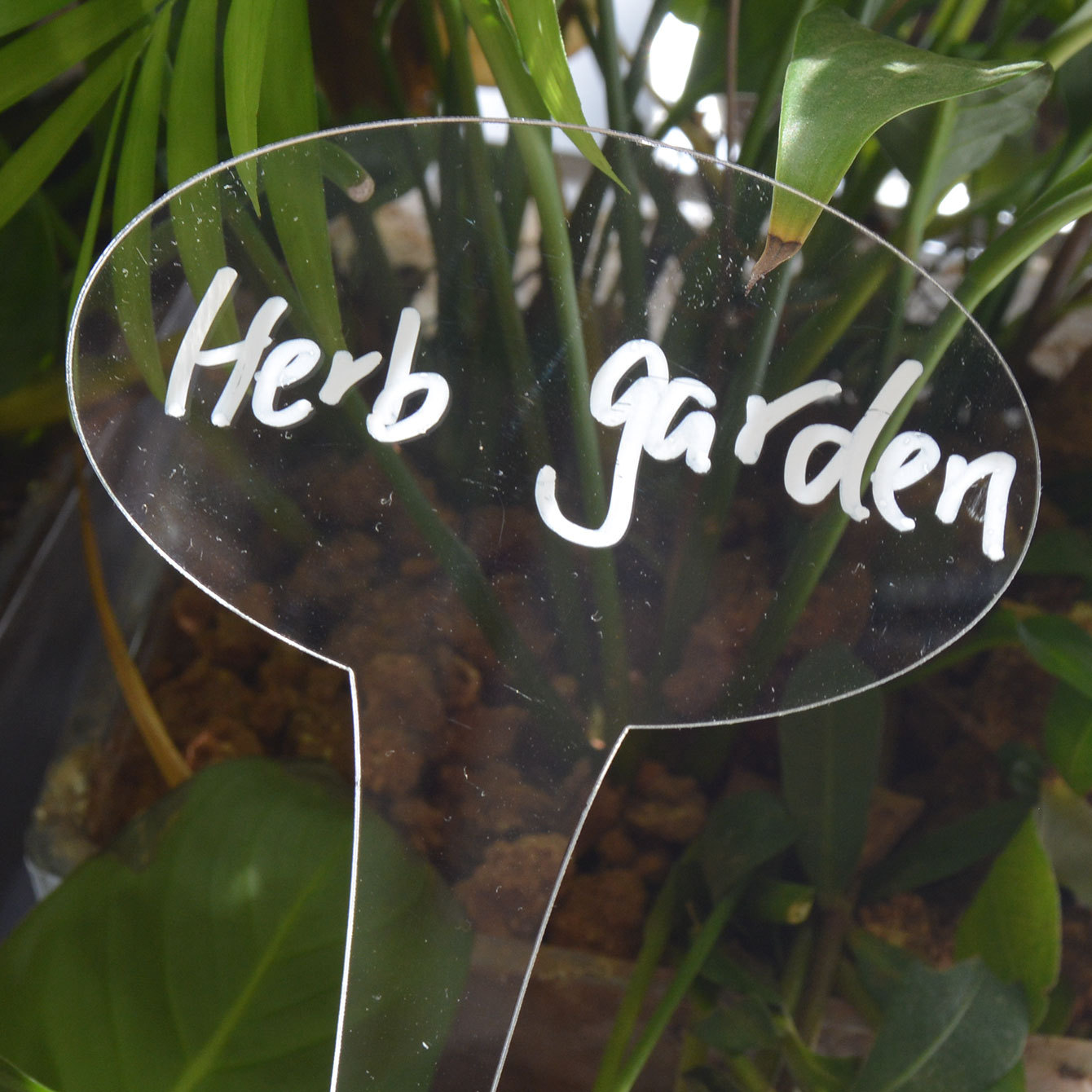Acrylic gardening label flower plant potted plant label Garden marker card butterfly floor insert