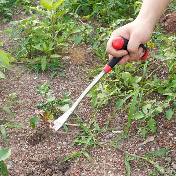 in stock digging garlic shovel agricultural stainless steel flower shovel gardening weeding small shovel plastic handle digging wild vegetables digging garlic shovel