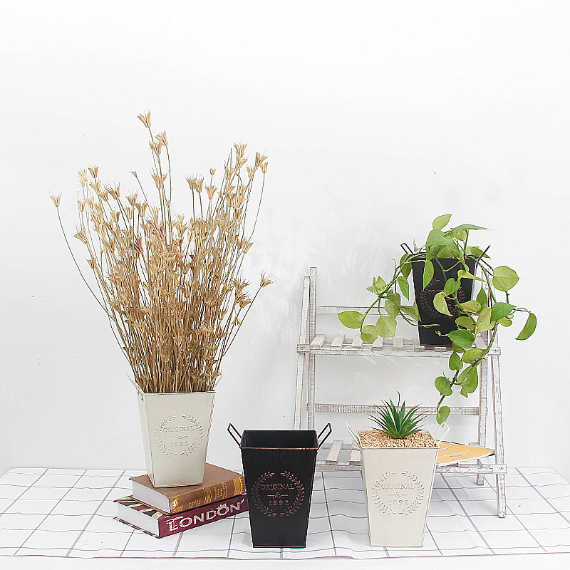 Factory wholesale square retro original flower iron bucket meat flower simple desktop storage bucket home decoration