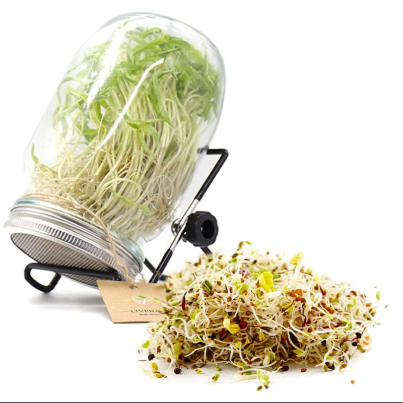 304 stainless steel Mason jar germination cover seed germination device screen food grade filter Amazon Supply