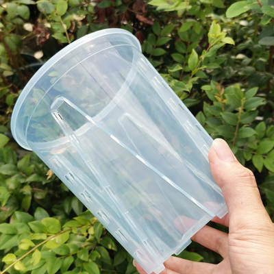 Qingshan root control basin permeable breathable non-rotten root thickened transparent large and medium-sized small size plastic high-leg flower pot viewing root Taro