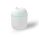 Y section white 250 ml