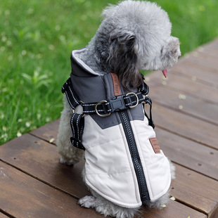 Cross-Border pet dog dog clothes warm thickened autumn and winter two-legged teddy bear Bome schanery small dog vest