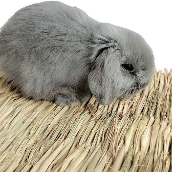 Amazon Hot Sale Rabbit Mattress Pet Woven Mattress Pet Mattress Hamster Chew Toy Pet Bed