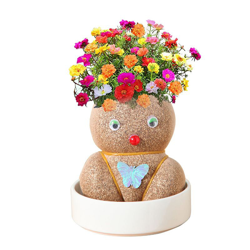 Head long grass doll grass head flowering children planting small pot planting grass green plant observation plant growth kindergarten