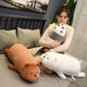 Cross-border we Naked Bear plush toys three bear soft doll girls holding long pillow a generation of hair