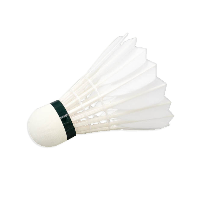 Antarctic wind AS-05 badminton indoor resistant to play the whole garden duck fur ball club competition ball 12 Pack wholesale