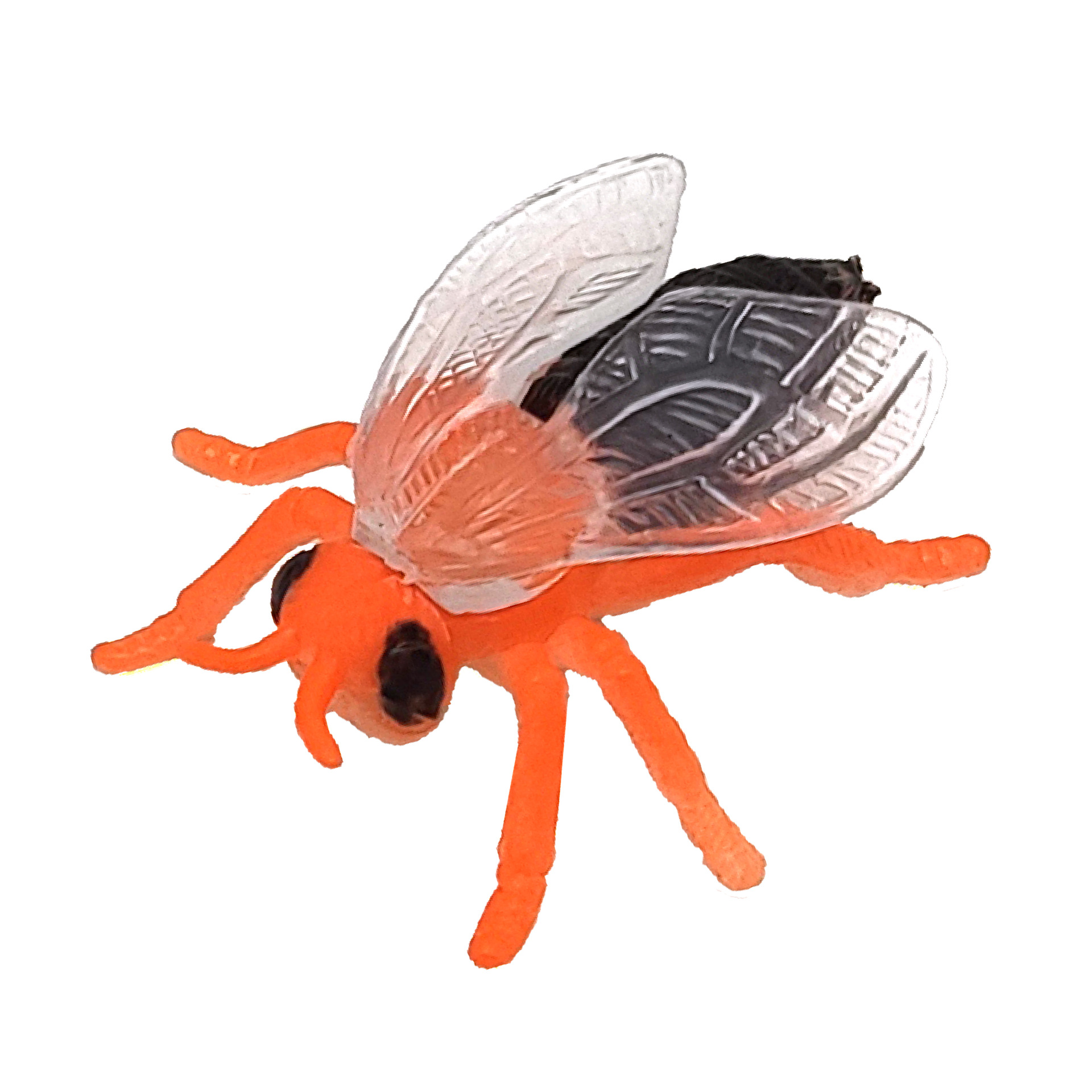 12 simulation small insect model mini educational cognitive children's toys mantis model children's toys cross-border