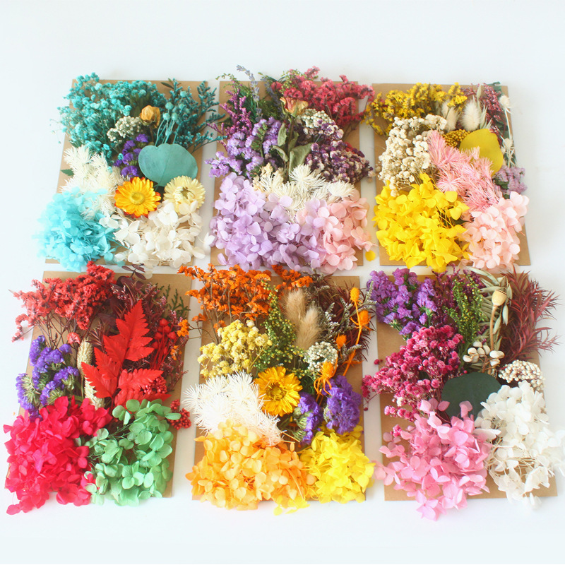 A5 bag dried flower eternal flower material package wholesale Amazon cross-border embossed dried flower DIY handmade floral gift