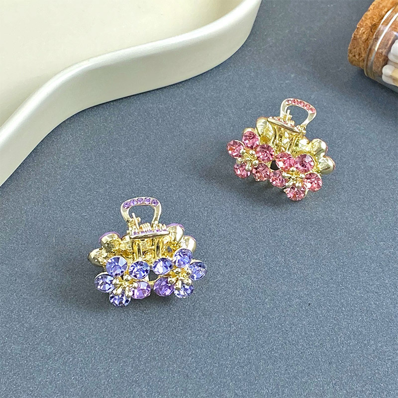 Small Bangs Grab Clip 2022 New Crystal Flower Side Hairpin Korean Internet Celebrity Mini Elegant Grab Hair Accessories_voghion.com