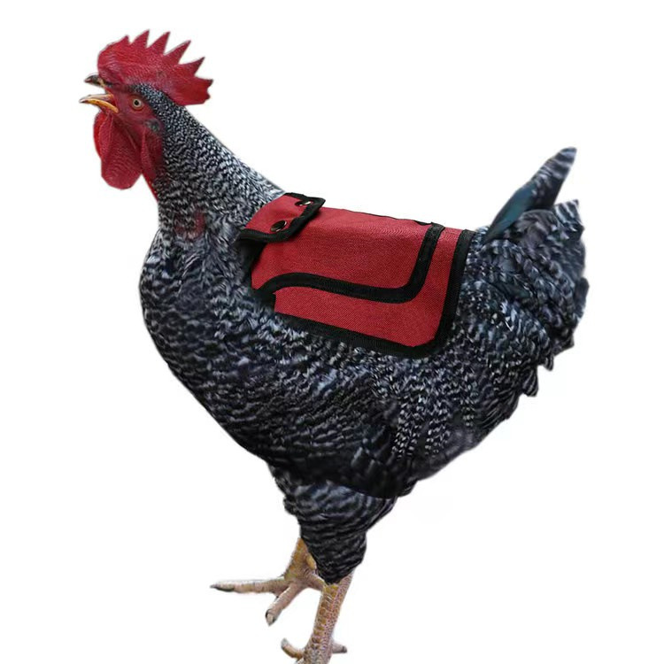 Adjusting Cock Hen Chicken Saddle Back Feather Wings Protection Fixer Chicken Vest Outdoor Cold-proof Back Chicken Saddle