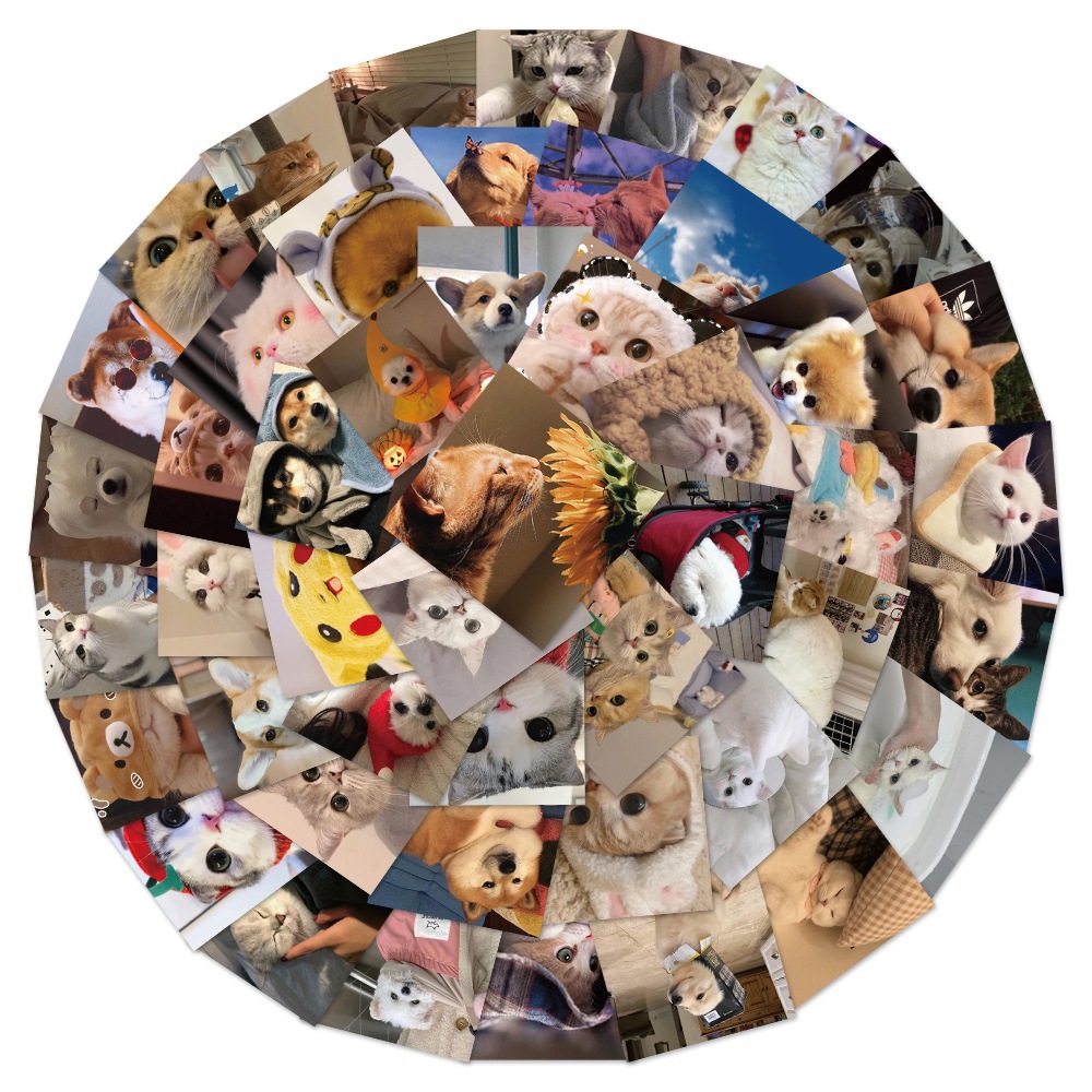 48 cute cat dog square graffiti stickers computer water Cup luggage skateboard stickers children's toy stickers