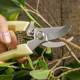 Strong stainless steel pruning shears multifunctional gardening scissors orchard fruit picking scissors Garden branch shears tool shears
