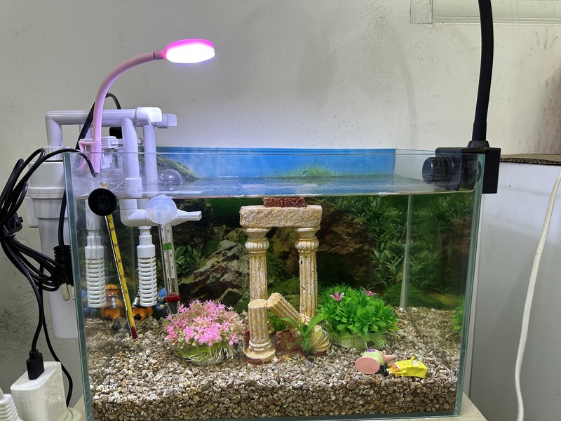 ミニ水槽 LED 防水クリップオン照明水生植物成長ライト小型タンク USB 照明藻類ライト|undefined