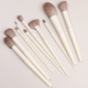 Zero 10 sets of brushes