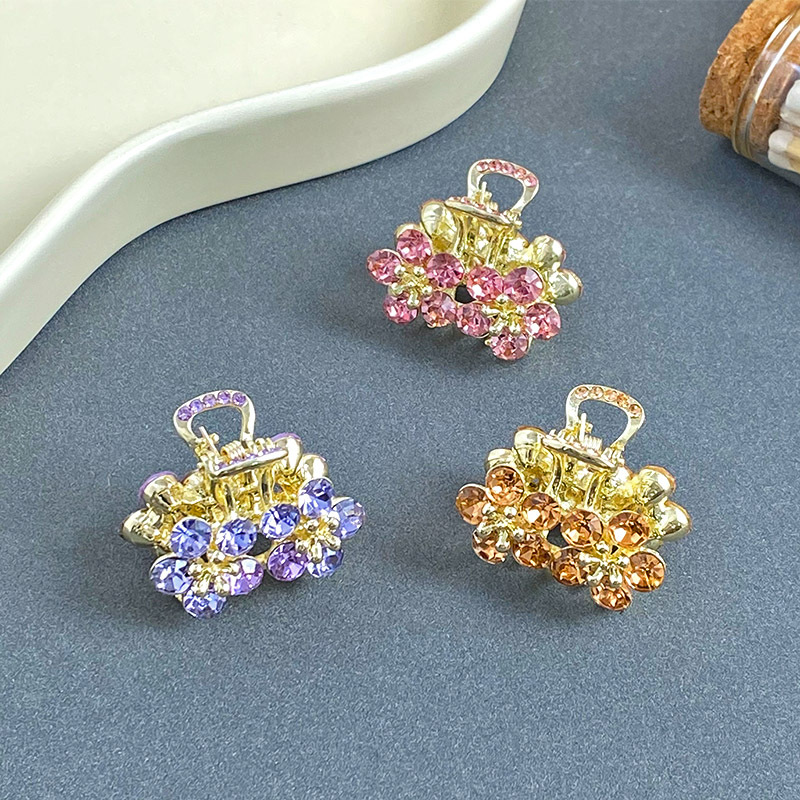 Small Bangs Grab Clip 2022 New Crystal Flower Side Hairpin Korean Internet Celebrity Mini Elegant Grab Hair Accessories_voghion.com