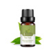 Single: Tea tree 10ml
