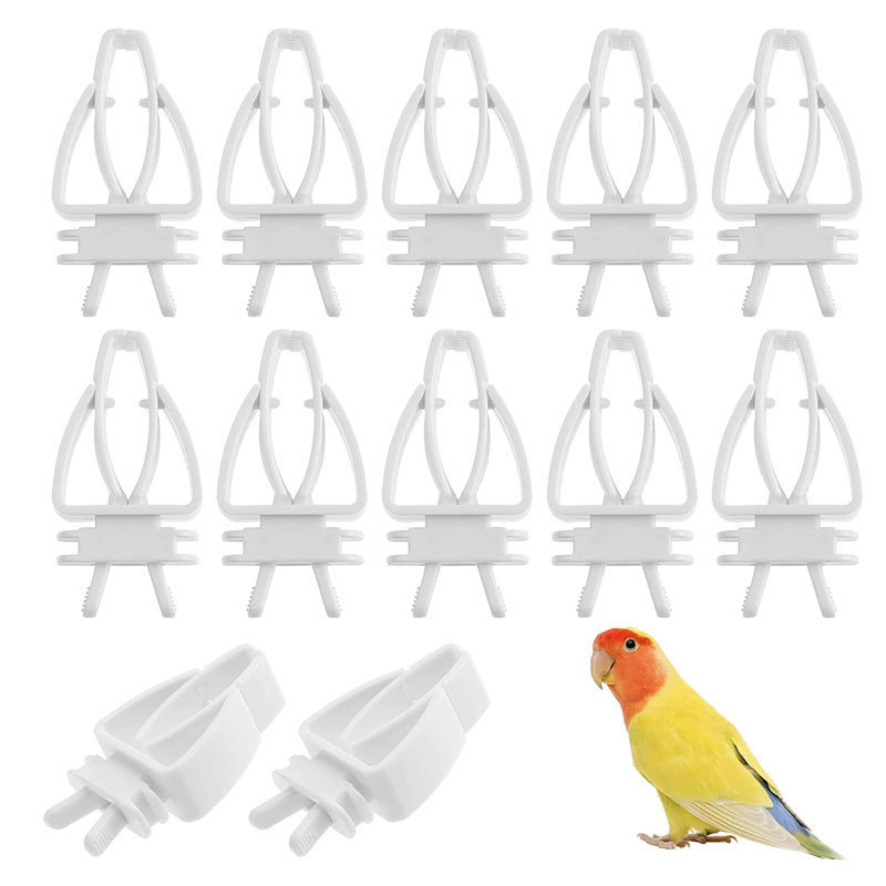 鳥用果物クリップオウム鳥食べ物クリップ野菜果物クリップイカ骨果物フォークスナッククリップ卸売りスポット|undefined