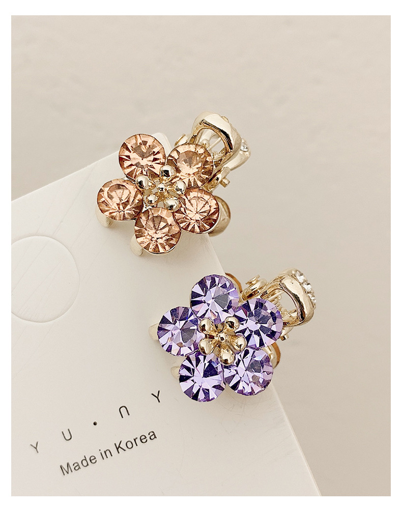 Small Bangs Grab Clip 2022 New Crystal Flower Side Hairpin Korean Internet Celebrity Mini Elegant Grab Hair Accessories_voghion.com