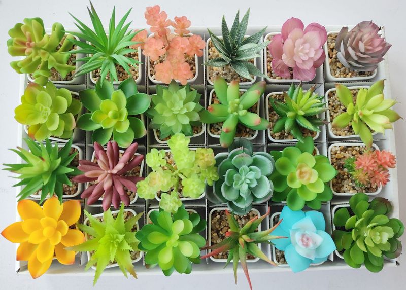 カラフルな模擬多肉植物鉢植え風景 Diy アクセサリーセットカスタマイズされたメーカーオフィス装飾植物|undefined