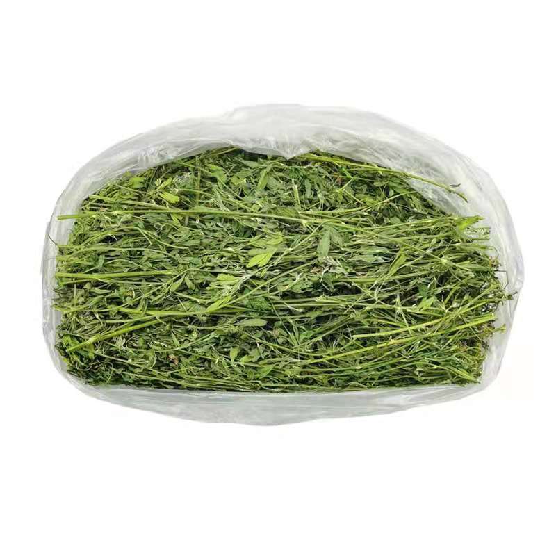 Drying Alfalfa Hay, Alfalfa, Pasture, Rabbit Grass, Rabbit Feed, Rabbit Food