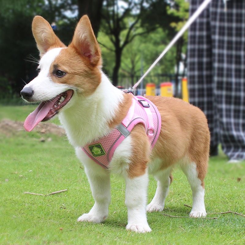 新しい反射通気性ペットチェストストラップ犬牽引ロープ軽量救済用品ペット製品|undefined