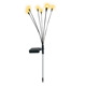 other product image