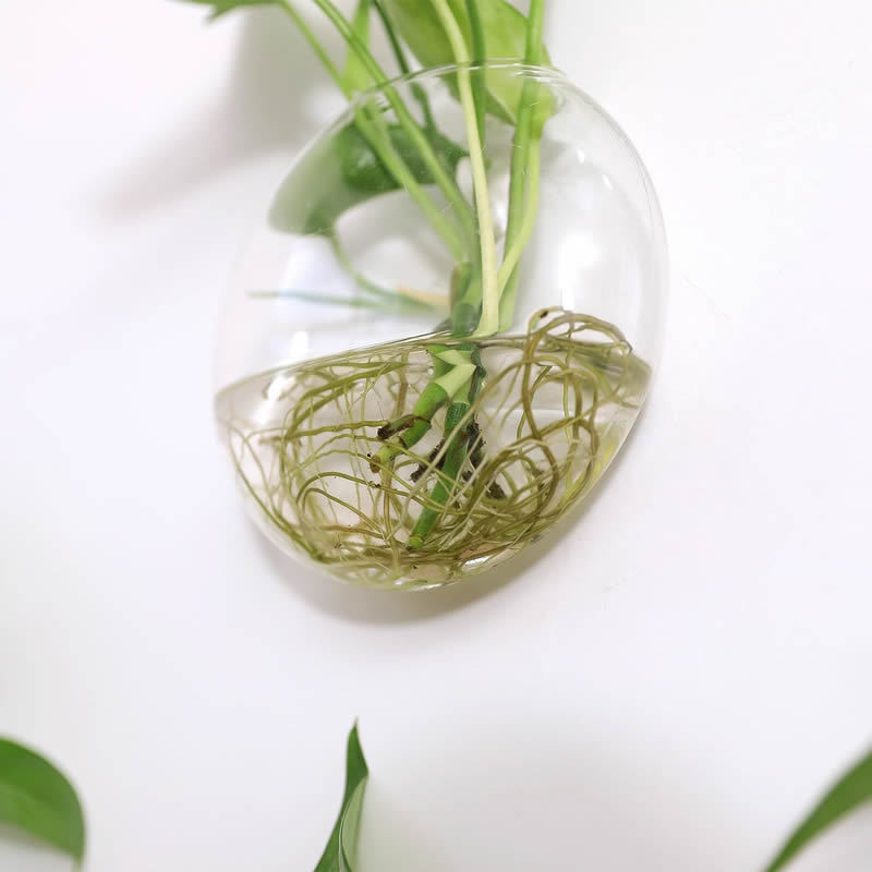 クリエイティブ壁掛けガラス花瓶平餅花瓶2個入4個入水培植物花瓶家庭壁花瓶|undefined