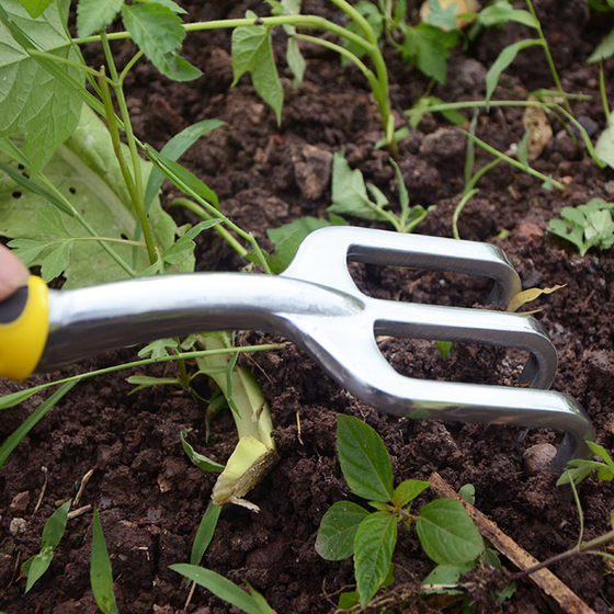Gardening Flower Planting Shovel Tool Set Household Planting Flower Growing Dig Soil Harrow Garden Potted Vegetable Planting Loose Soil Small Shovel