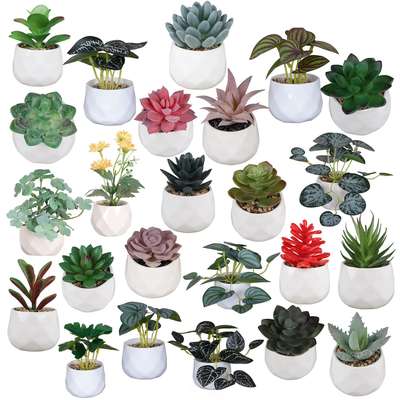 Cross-border Mini Artificial Potted Plant Combination Nordic Style Office Ornaments Simulation Fleshy Diamond Ceramic Paving Stone Small Potted Plant